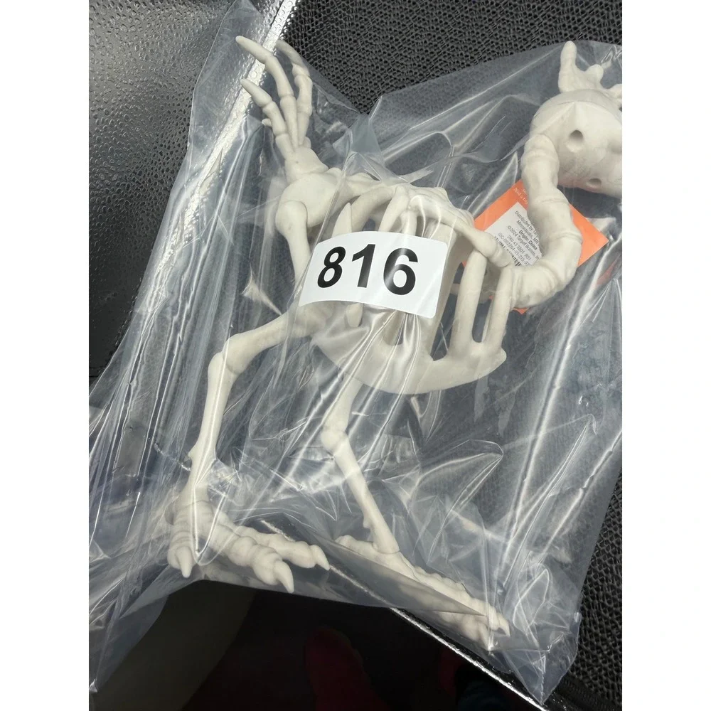 Hyde and Eek Boutique Halloween Chicken Skeleton Indoor Outdoor Prop 2024 New